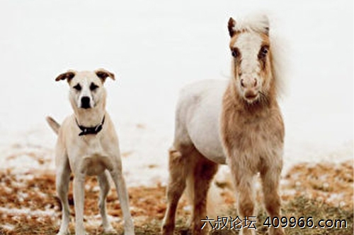 2025年第119期幽默猜测：默契